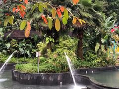 -龙山酒店温泉