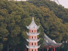 -无锡蠡湖国家湿地公园-蠡园