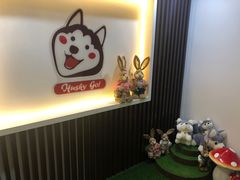 -Husky Go! 哈士奇体验馆·宠物咖啡厅狗咖