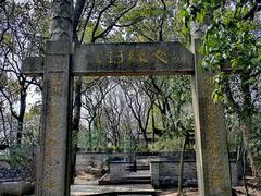 -上海佘山国家森林公园天马山园