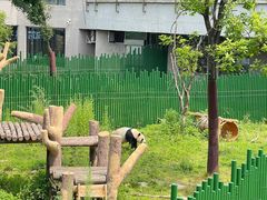-沈阳森林动物园