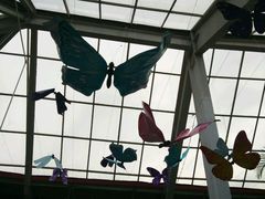 -红栌温泉山庄生态美食餐厅