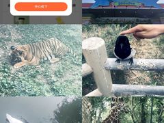 -无锡动物园·太湖欢乐园