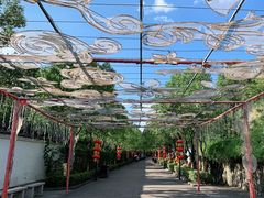 -横店影视城梦幻谷园区