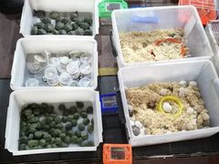 -周浦小上海步行街