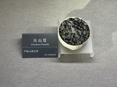 -安徽省地质博物馆