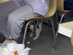 -重庆麻辣烫(国权路店)