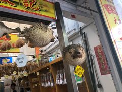 -大澳渔村及棚屋