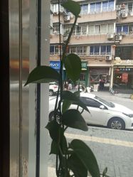 -环球蝶上美业连锁
