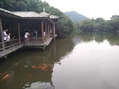 -西湖外事游船(花港观鱼码头)