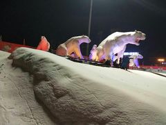 -沈阳奥体冰雪嘉年华