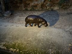 -清迈夜间动物园