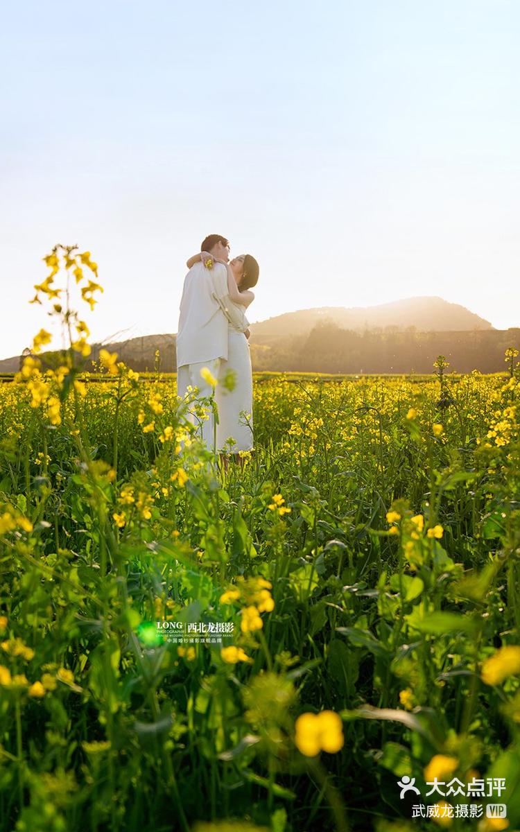超治愈的油菜花婚纱照爱了