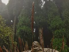 -武陵山森林公园