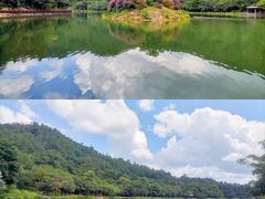 -广州白江湖森林公园