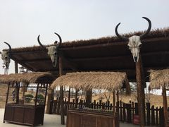 -华夏文旅海洋公园