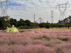 -嘉北郊野公园