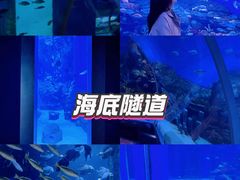 -顺德南宏海立方海洋公园