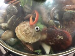 -东海章鱼馆(恒瑞街店)