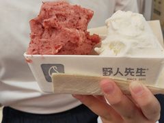 -野人先生现做冰淇淋(北京王府井东方新天地店)