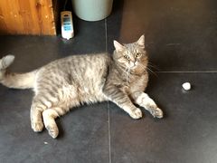 -天使咖啡(兴新街店)