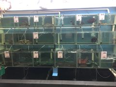 -祈胜邨•顺德鱼生•顺德菜(容桂店)