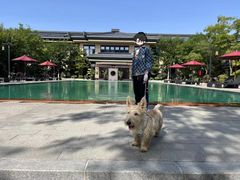 -东方华地城湿地温泉度假区