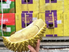 -东方鼎信农副产品交易中心