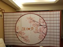 -颜和骨正·明哲式骨相美学整骨
