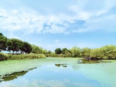 -长兴太湖图影湿地文化园