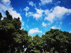 -荔湾湖公园