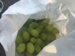 -马陆小张葡萄园农家乐