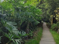-东莞市大岭山森林公园