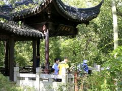 -上海佘山国家森林公园天马山园