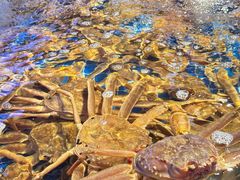 -驻海渔市(置信店)