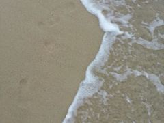 沙滩的沙很是细腻-三亚亚龙湾红树林度假酒店