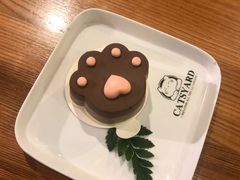 -猫小院猫主题餐厅(三里屯店)