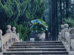 -上海醉白池公园