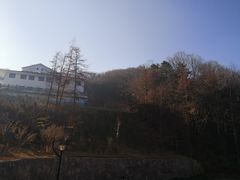 -洛阳白云山景区