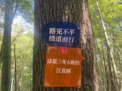 -石台牯牛降景区