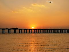 -宝安西湾红树林湿地公园