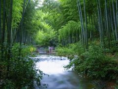 -天目湖山水园