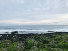 -鹅銮鼻公园