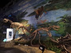 -自贡恐龙博物馆