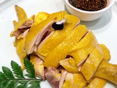 浦东三黄鸡-江南苑精菜坊
