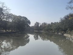-江心屿景区
