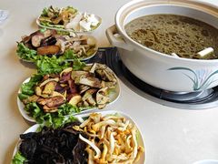 -爱膳菌锅锅(阳南店)