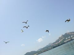 -海驴岛(荣成市)