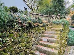 -法云安缦酒店