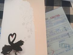 -BLACKSWAN黑天鹅(环球店)